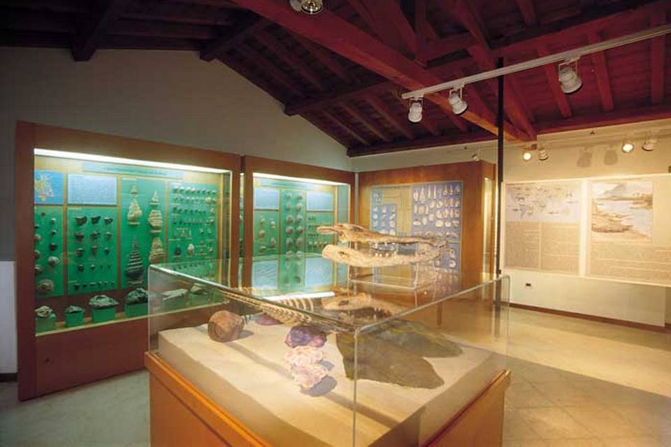museo-ronca-5-crocodilus-veneto-italy